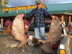 Back from a successful moose hunt near Chicken, Alaska