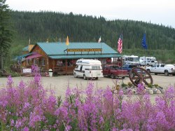 Flowers and RVs at the Chicken Gold Camp - Chicken, Alaska